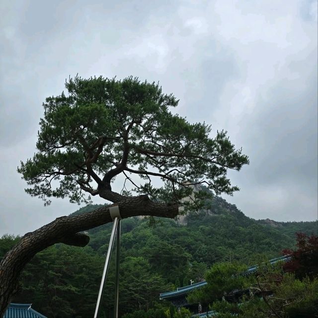 Mountain Magic & Quiet Moments