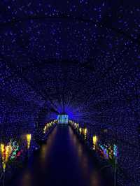 Lighting Art Museum&Balloon Garden ศรีราชา
