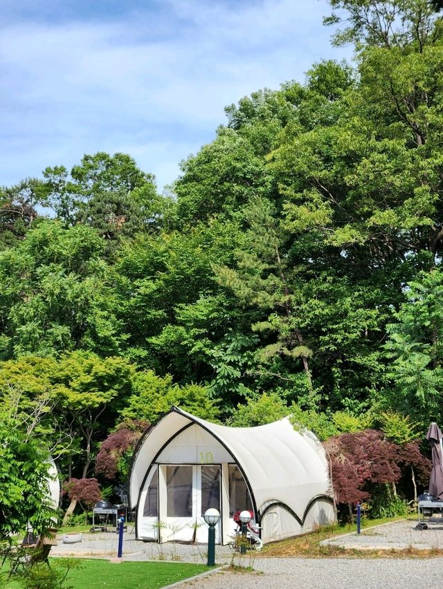 🏕아이랑 여름여행으로 가기좋은 당일글램핑 "워크안산BBQ"🏕