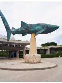 Road Trip @ Okinawa 