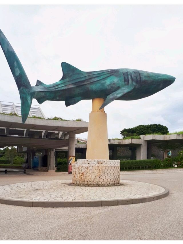 Road Trip @ Okinawa 