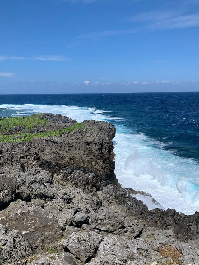 【森の息吹を感じる旅】沖縄の秘境「やんばるの森」で自然とふれあう