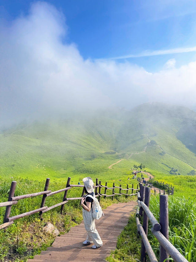 Leo núi Mindungsan (민둥산) tại Hàn Quốc