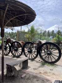 Peaceful Escape to Kampung Agong: Embracing Nature and Nostalgia