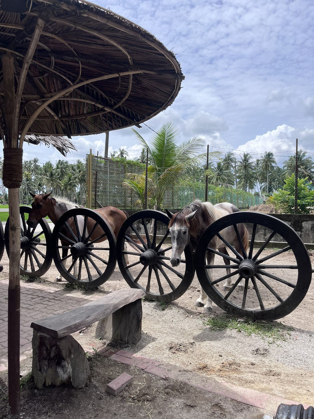 Peaceful Escape to Kampung Agong: Embracing Nature and Nostalgia