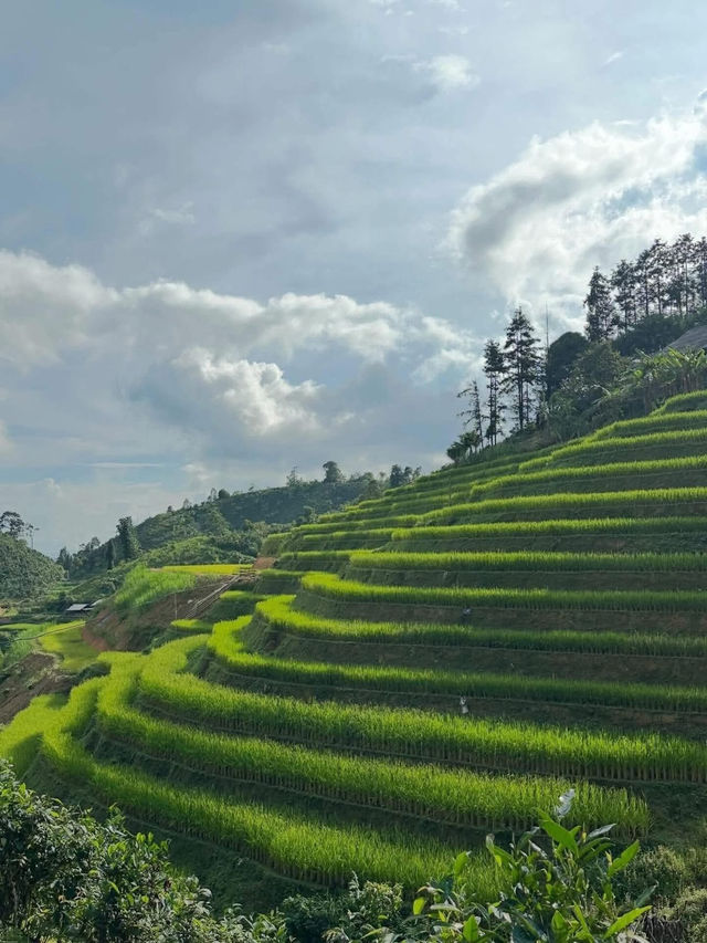 Bản Liền