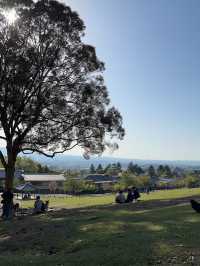 🦌⛰️✨ Quick Guide – Mount Wakakusa & Ikuta Shrine