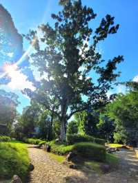 Little Guilin: A Quiet Nature Spot in Singapore