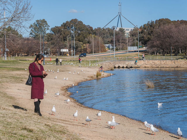 🇦🇺  CANBERRA