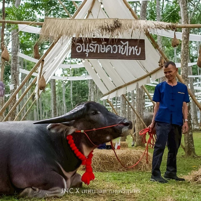 ถนนสายผลไม้ภูเก็ต