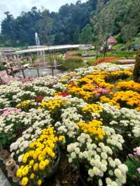🌺 สวนหมื่นบุบผา (Thousand Flowers Garden)