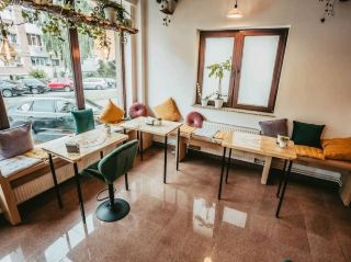 Сенсорное путешествие в Сучаву: Palo Santo Shop Bar & Coffee Hub