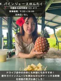 【石垣島】島観光！🏝️北部エリアスポット5選🐄🌴