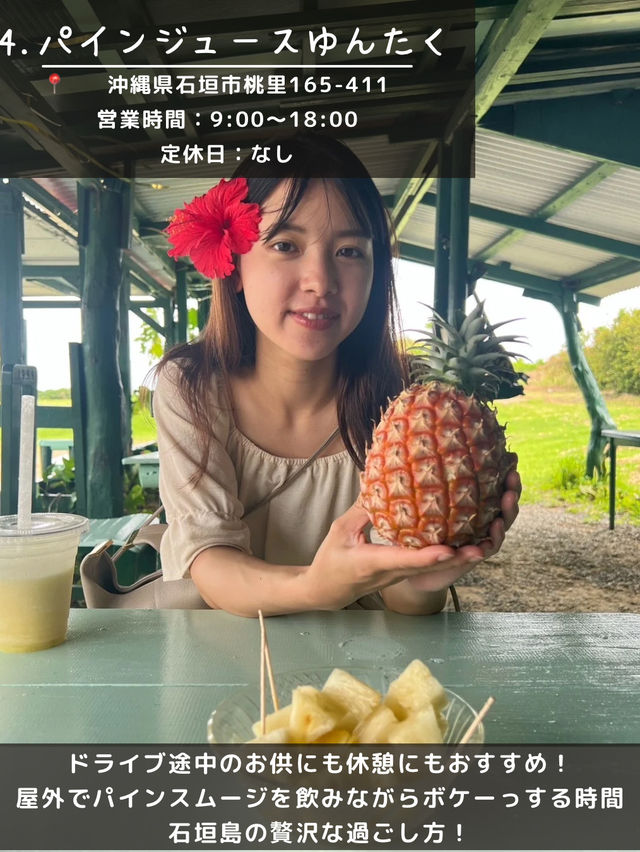 【石垣島】島観光！🏝️北部エリアスポット5選🐄🌴