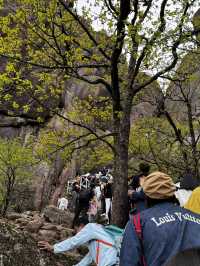 黃山