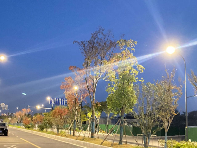 南京魚嘴濕地公園