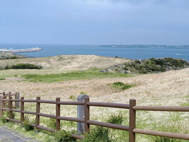 Seongsan Ilchulbong (Sunrise Peak), Jeju Island: Your Day Trip Guide! ⛰️🌅