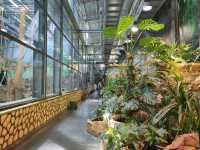 Kaliningrad Zoo