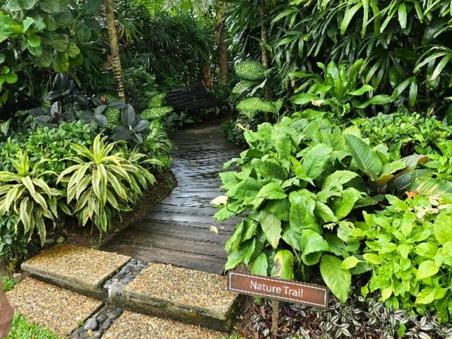 Family Luxury Redefined – My All-Ages Stay at Shangri-La Singapore