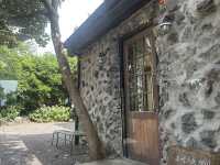 Cafe Forest J