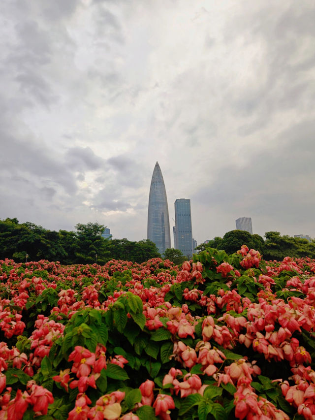 Lianhuashan Park 🌺 🍃 