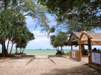 Holiday Specialty Coffee and Beach Bar 