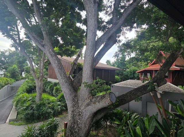 ANdAZ พัทยา โรงแรมในสวน ริมทะเล