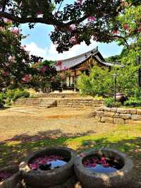 Jangdokdae