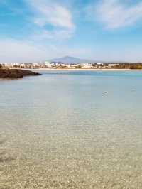 A Beach of Textures and Surprises