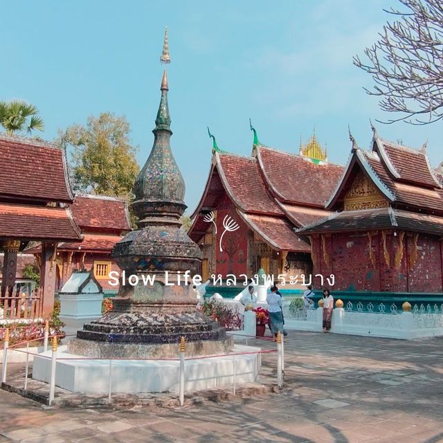 Slow life หลวงพระบาง  vs  Adventure วังเวียง ลาว