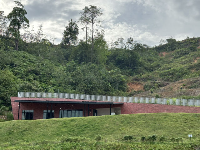 🌲 Nature’s Palette Comes Alive at Ethos Forest — Just Beyond Bentong 🌄