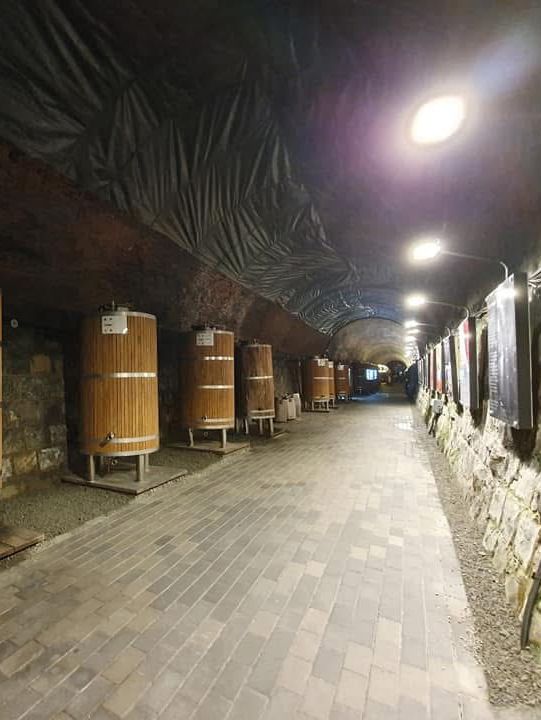 韓國大邱 清道柿子酒隧道 桐華寺