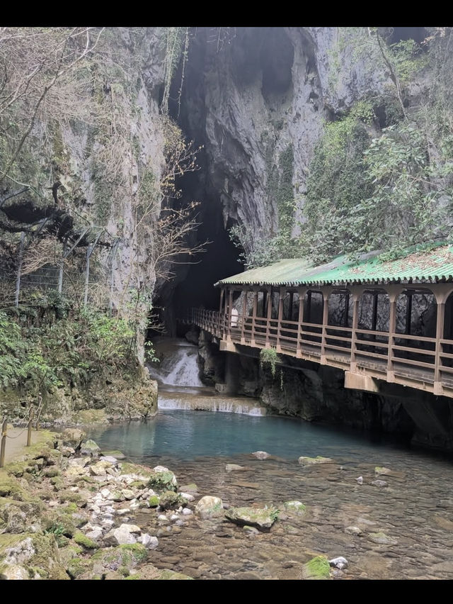 🌿秋吉台｜日本最大級のカルスト台地で大自然を感じる絶景ハイキング
