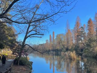 Tokyo's Musashino City – A Relaxing Escape in the Urban Jungle
