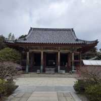 【香川旅】歴史と絶景が交差する屋島寺で、心に残る静かな時間を