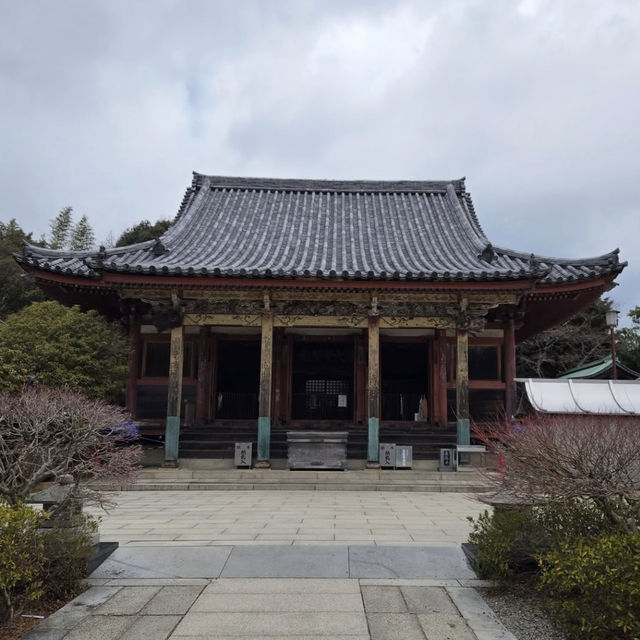 【香川旅】歴史と絶景が交差する屋島寺で、心に残る静かな時間を 【香川旅】歴史と絶景が交差する屋島寺で、心に残る静かな時間を