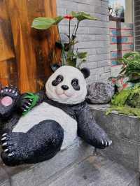 Pandas, Peppers, and Peace of Mind: The Chengdu Experience