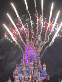 Disneyland in New Year 2025