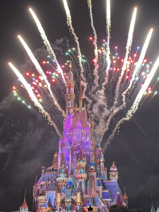 Disneyland in New Year 2025