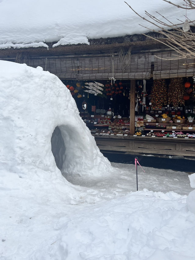 Hidden Powder & Edo-Era Charm in Fukushima ❄️🏔️** 