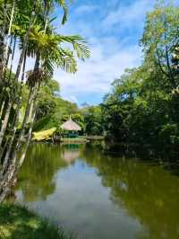 Exploring the Lush Sir Seewoosagur Ramgoolam Botanical Garden