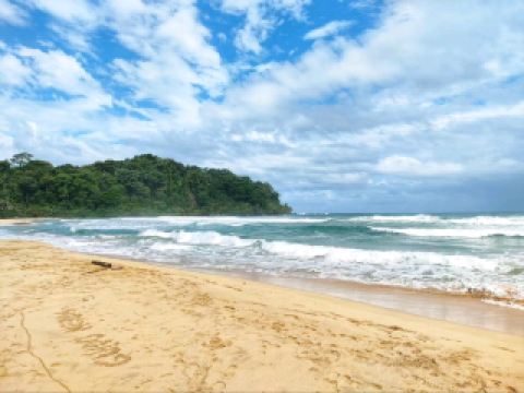 Tropical Bliss and Adventure at Isla Bastimentos