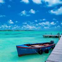 【楽園のような美しさ🏝️】モーリシャス🇲🇺