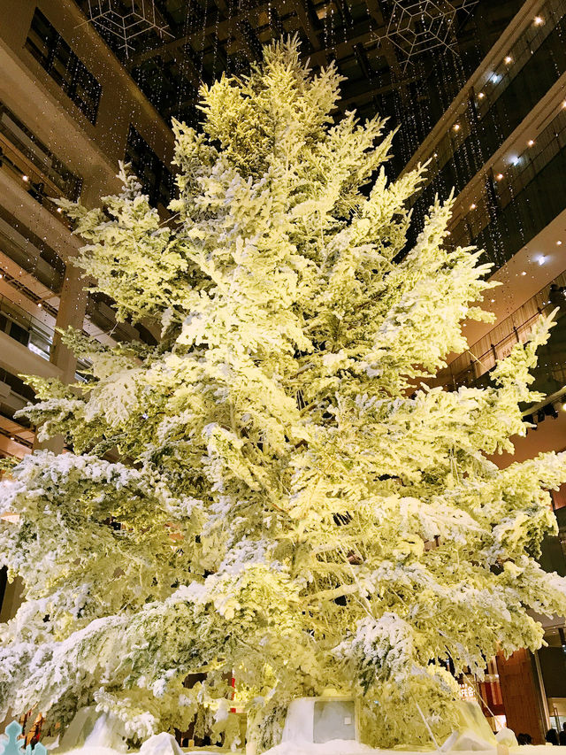 ✨ 丸の内クリスマス記録と2025 予測: 花と光の饗宴からマリオと共に彩る冬へ