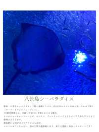夏休みまだ間に合う！首都圏から日帰りで行ける動物園・水族館