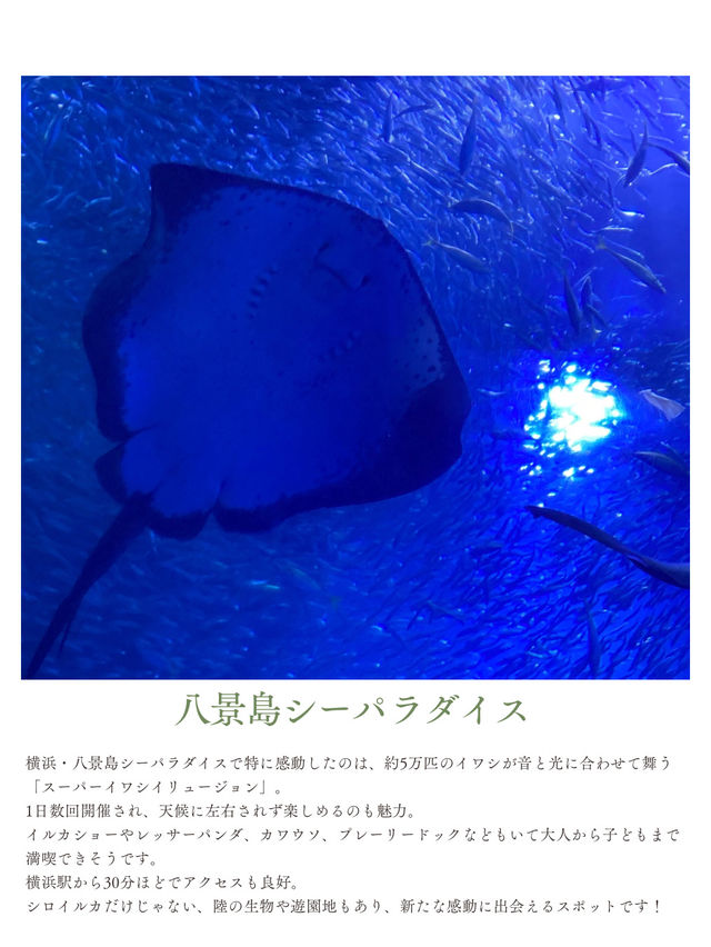 夏休みまだ間に合う！首都圏から日帰りで行ける動物園・水族館