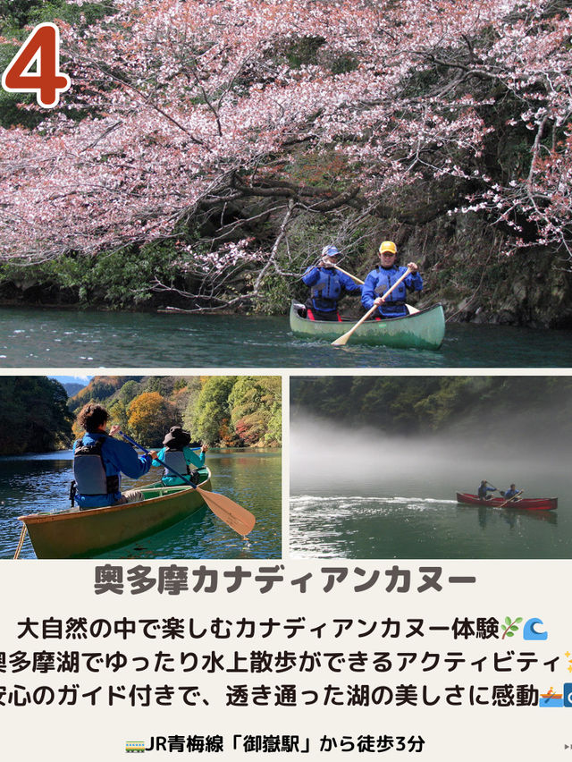 【東京】最高の体験型スポット5選📸✈️