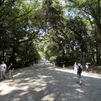 探索東京綠意：明治神宮一日遊 🌿⛩️ 
