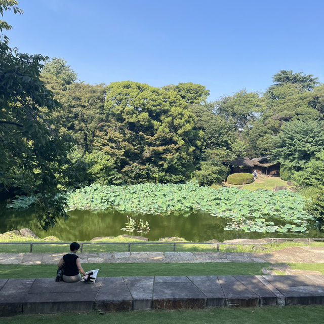 探索日本文化的寶藏:東京國立博物館一日遊 🎨🏯✨   探索日本文化的寶藏:東京國立博物館一日遊 🎨🏯✨