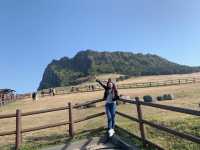 ✨Chilling at Seongsan Ilchulbong – The View is Enough✨